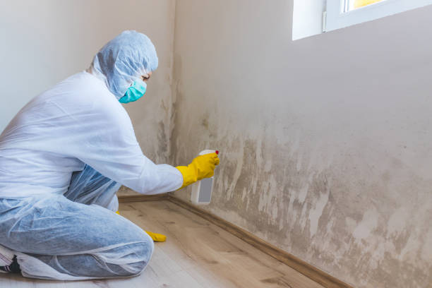 Hvac And Air Duct Mold Remediation inspection of HVAC system in Chester